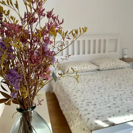 Hisa Rejmr With Private Parking Tatil Evi Kobarid