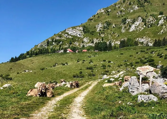 Casa de Férias Hisa Rejmr With Private Parking